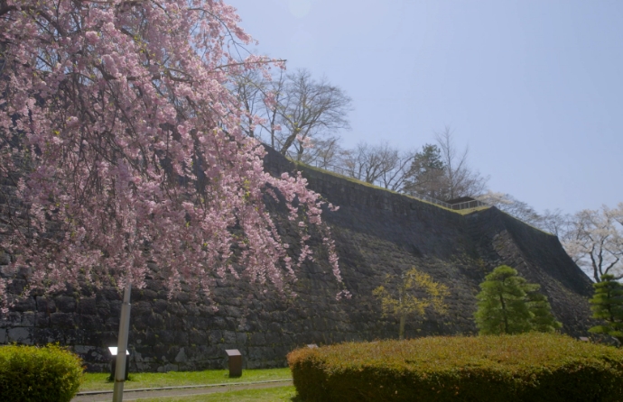 Morioka Castle Site Park (Iwate Park)